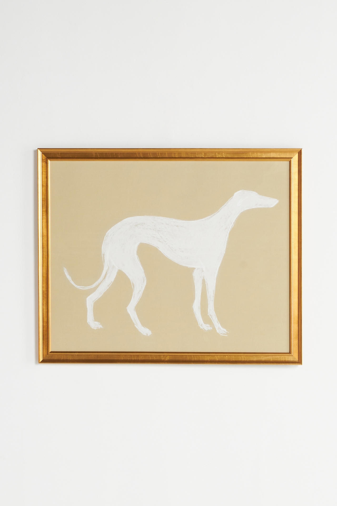 White Dog Wall Art