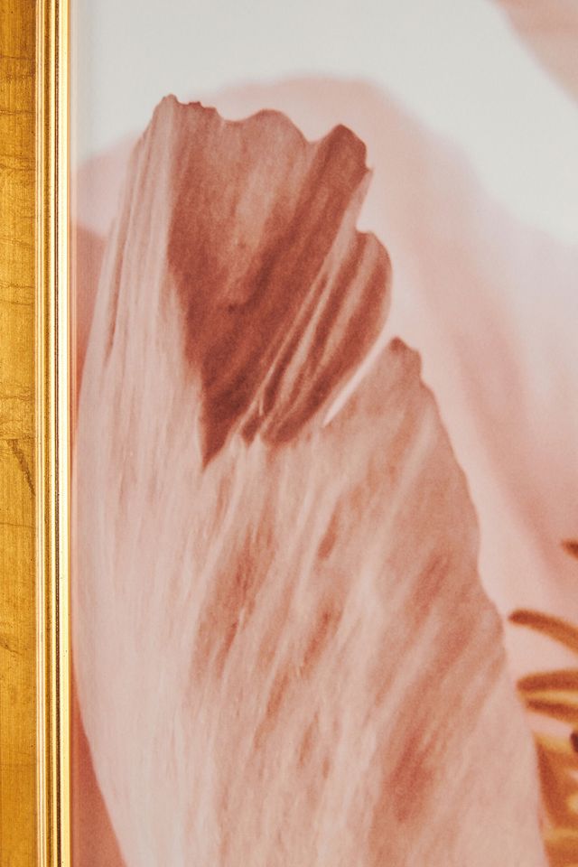 Pink Petals Wall Art #1