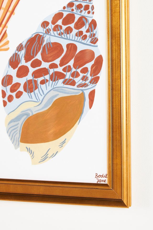 Shells Wall Art #1