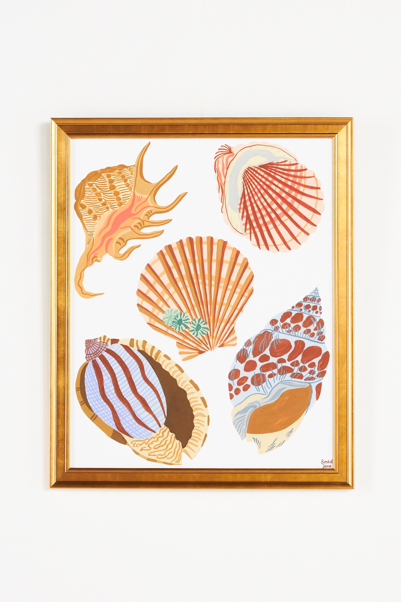 Shells Wall Art