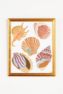 Shells Wall Art