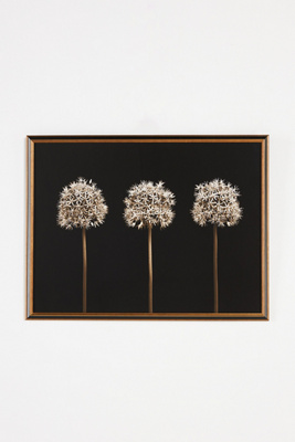 Artfully Walls Three Alliums Wall Art In Beige