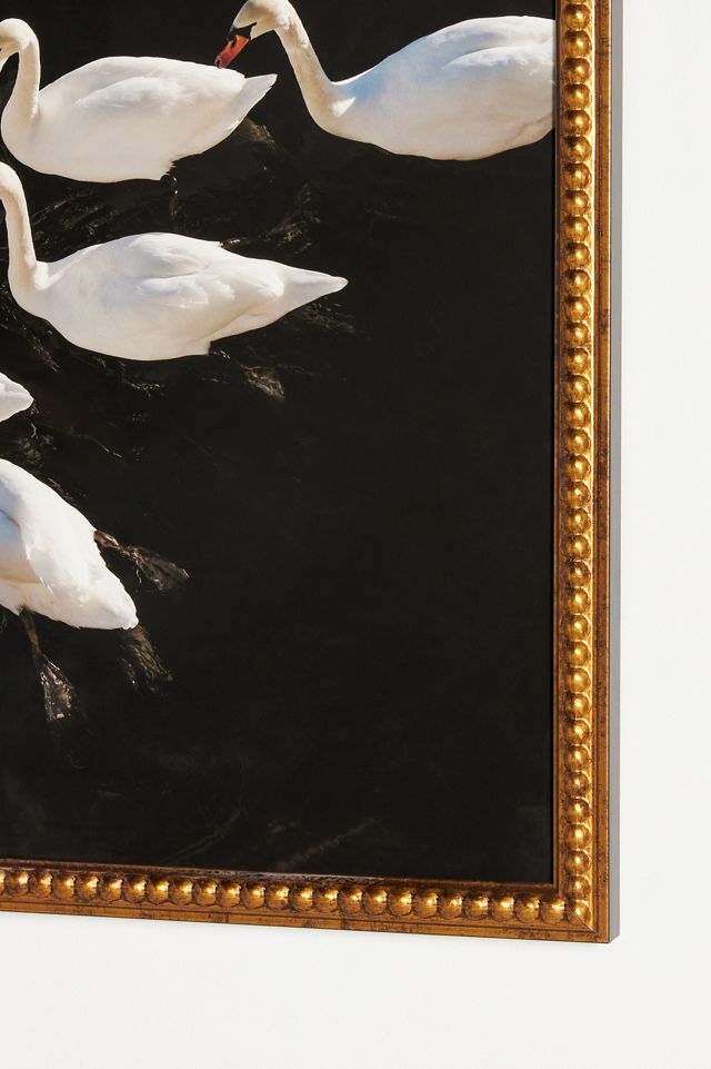 Romantic Swans in a Lake Bird Wall Art #1