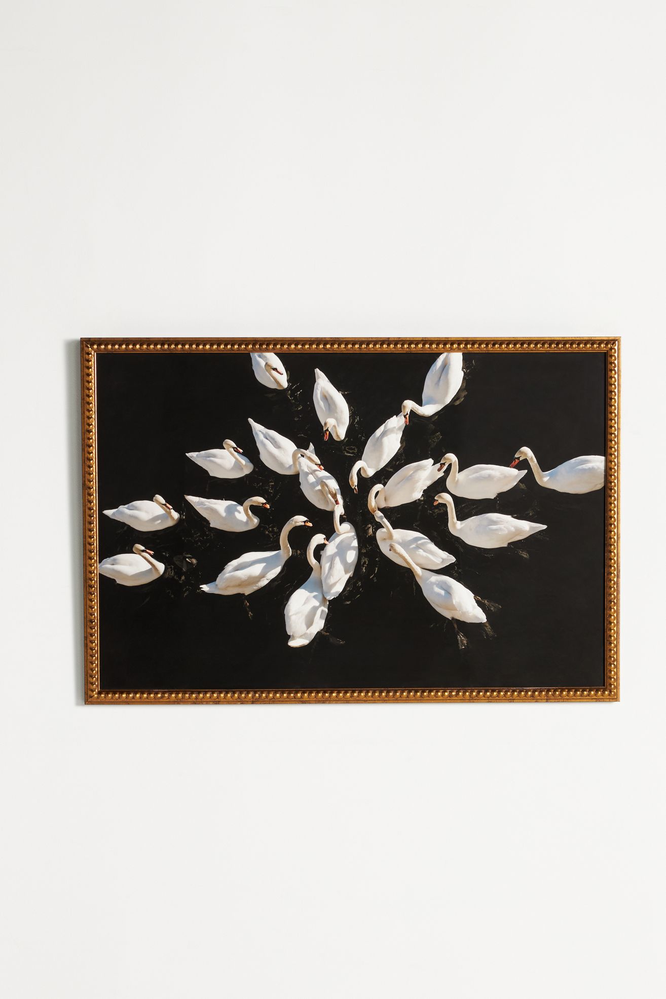 Romantic Swans in a Lake Bird Wall Art - Black, One Size
