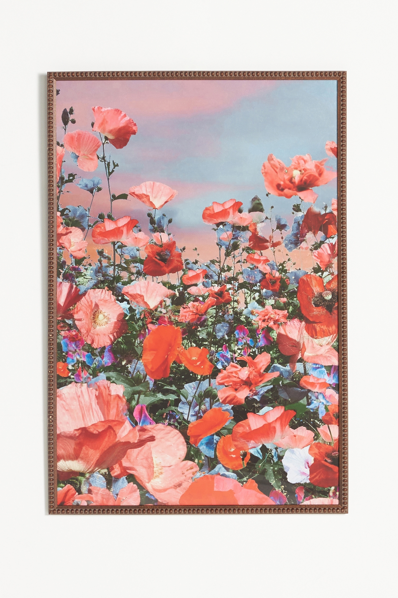 Pink Poppies Wall Art