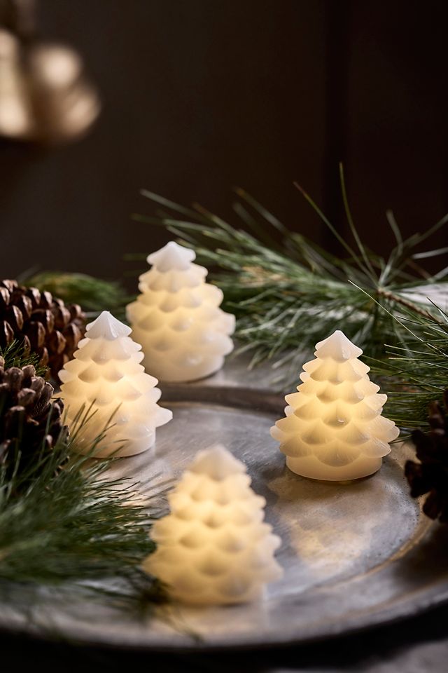 Evergreen Trees Wax Melts