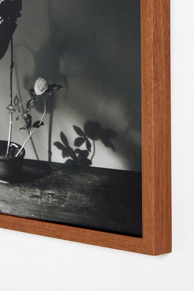 Ligularia, Hydrangea, and Trifolium Wall Art #1