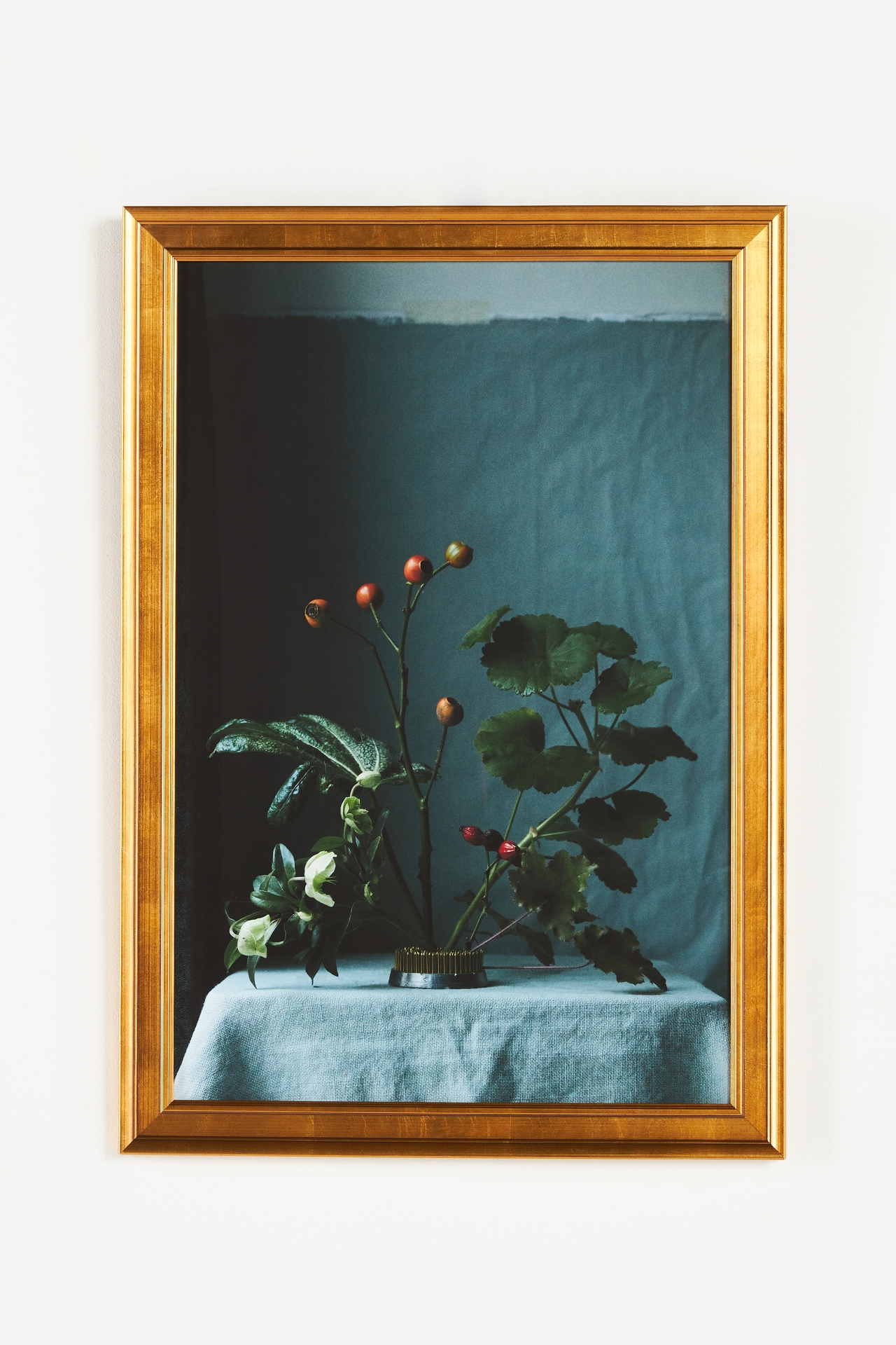 Still Life with Rosehips Wall Art