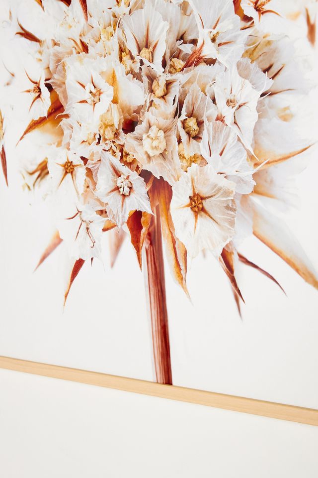 Sea Thrift Wall Art #1