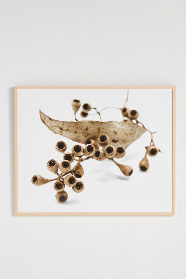 Lemon Eucalyptus Wall Art #1