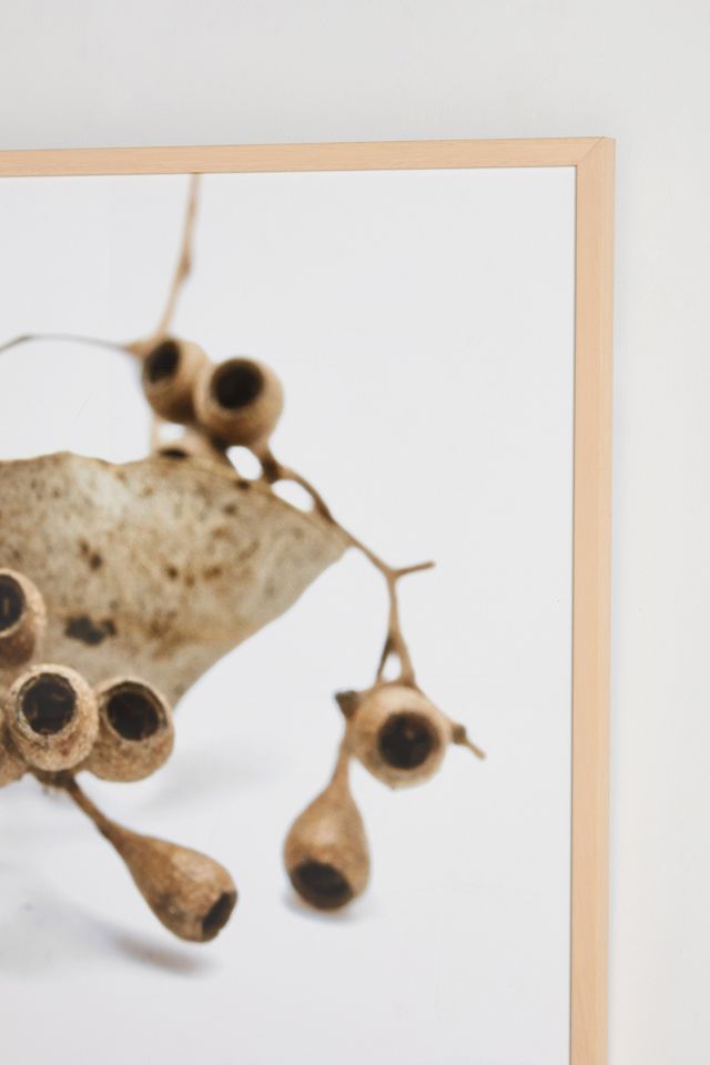 Lemon Eucalyptus Wall Art #2