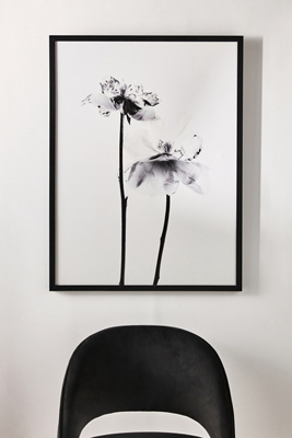 Still Wall Art