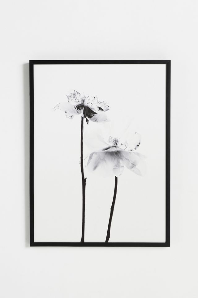 Still Wall Art #1