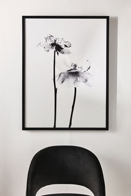Still Wall Art