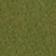 Moss
