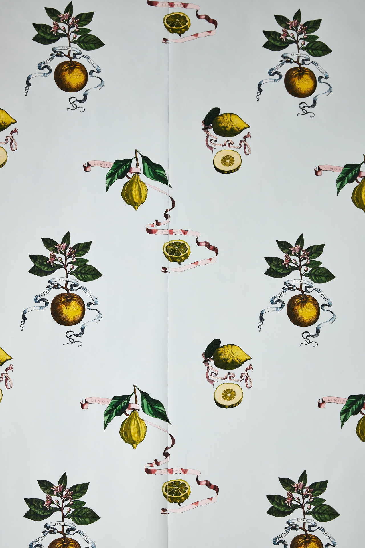 Lemon Toile Wallpaper