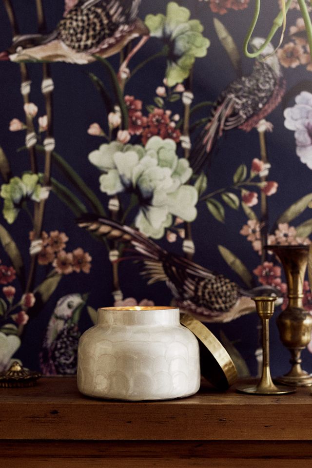 All About Anthropologie's Capri Blue Volcano Candle – PureWow