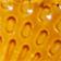Baltic Amber