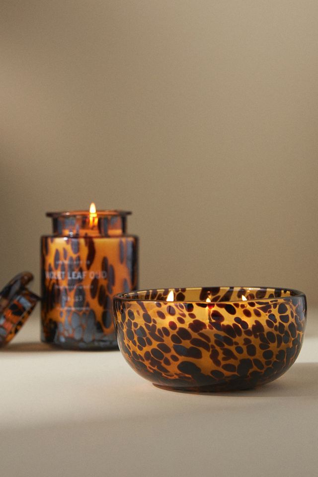 Apothecary 18 Woody Violet & Amber Jar Candle | AnthroHome