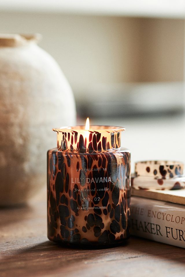 Apothecary 18 Woody Lily & Tonka Jar Candle | AnthroHome