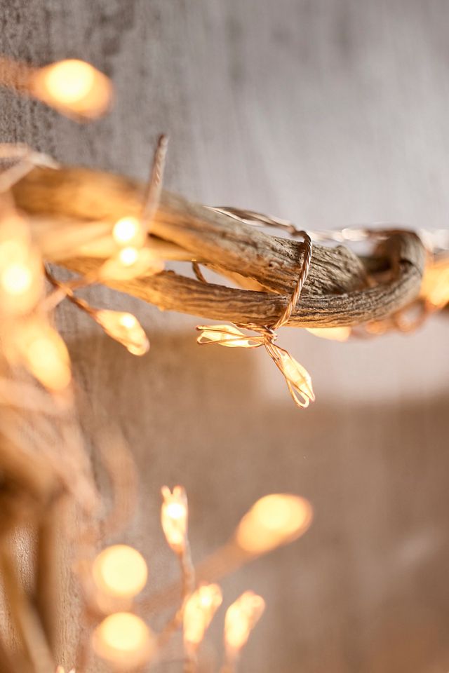 Stargazer Illuminated LED Vine Star #2