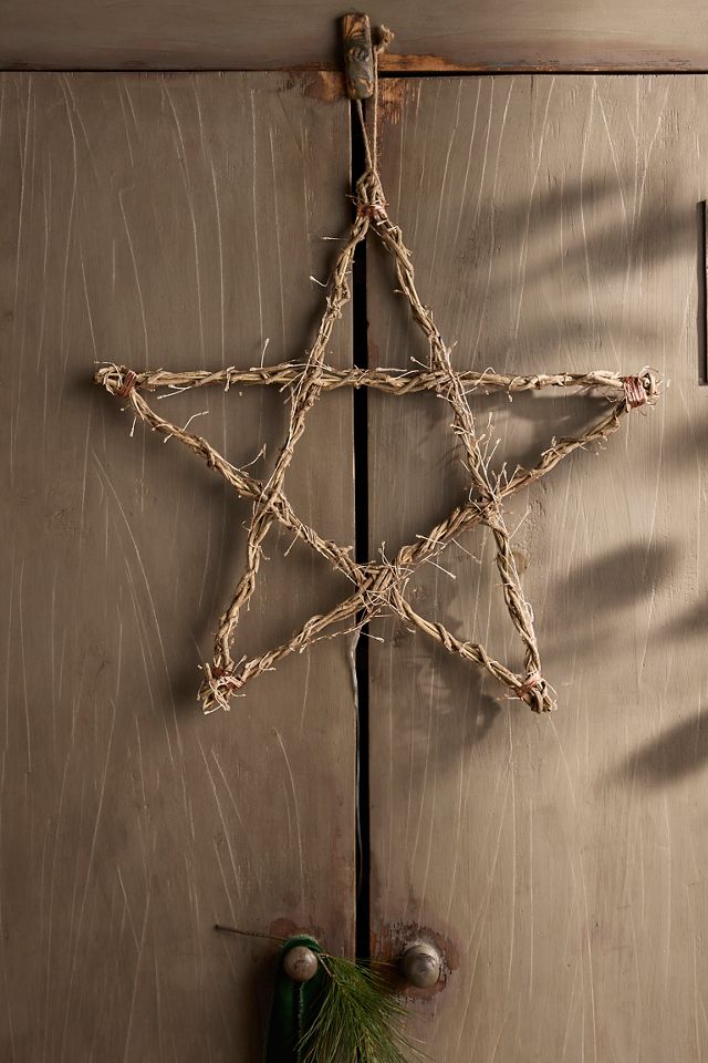Stargazer Illuminated LED Vine Star #3