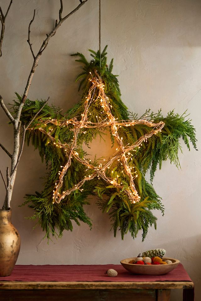 Stargazer Illuminated LED Vine Star #7