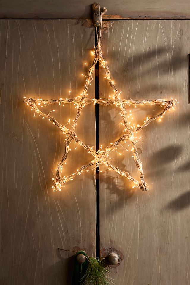Stargazer Illuminated LED Vine Star #1
