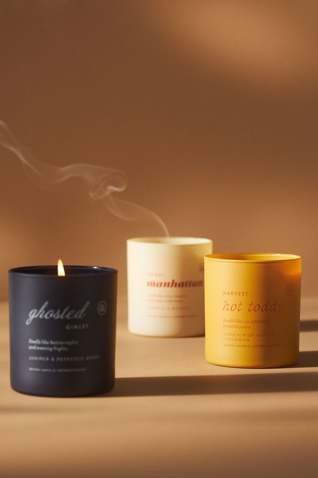Anecdote Fruity Harvest Hot Toddy Glass Candle #3