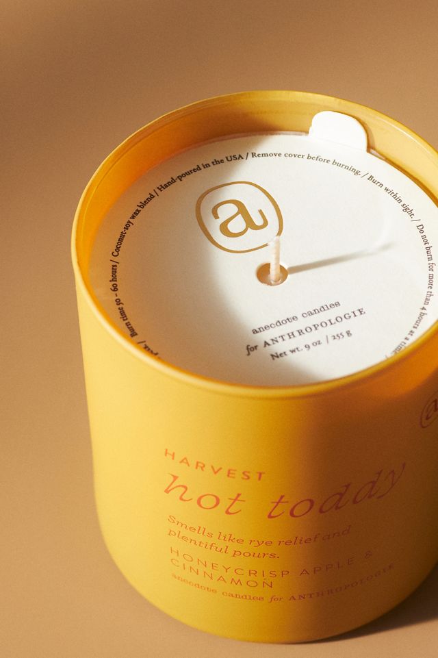 Anecdote Fruity Harvest Hot Toddy Glass Candle #2