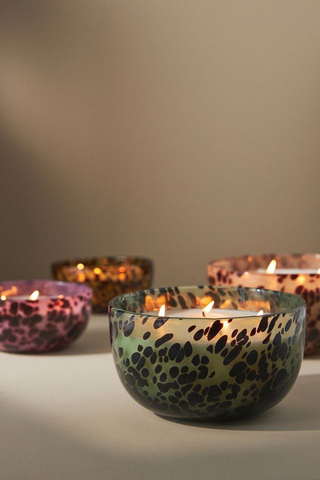Apothecary 18 Woody Lily & Tonka Glass Candle #2