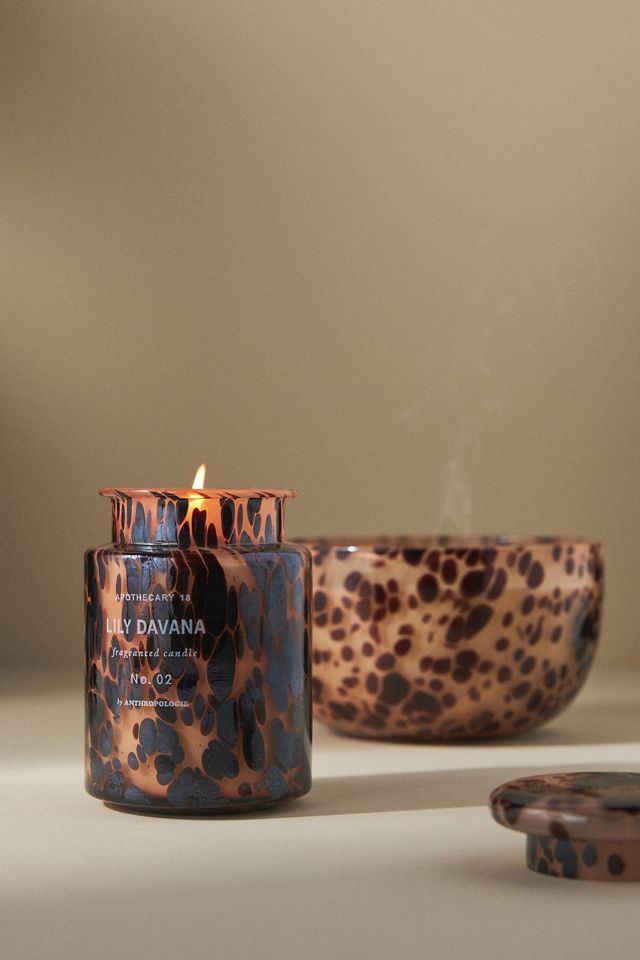 Apothecary 18 Woody Lily & Tonka Glass Candle #3