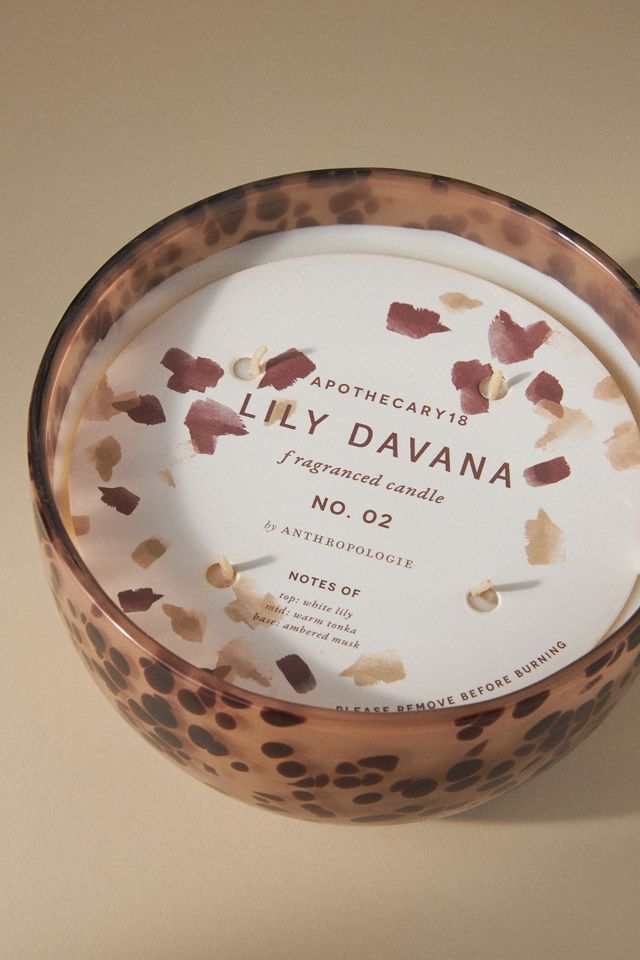 Apothecary 18 Woody Lily & Tonka Glass Candle #1