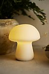 Mushroom LED Light #3