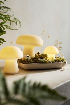 Mushroom LED Light
