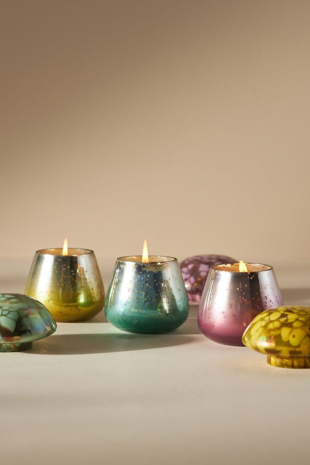 Porcini Mushroom Glass Candle Gift Set #1