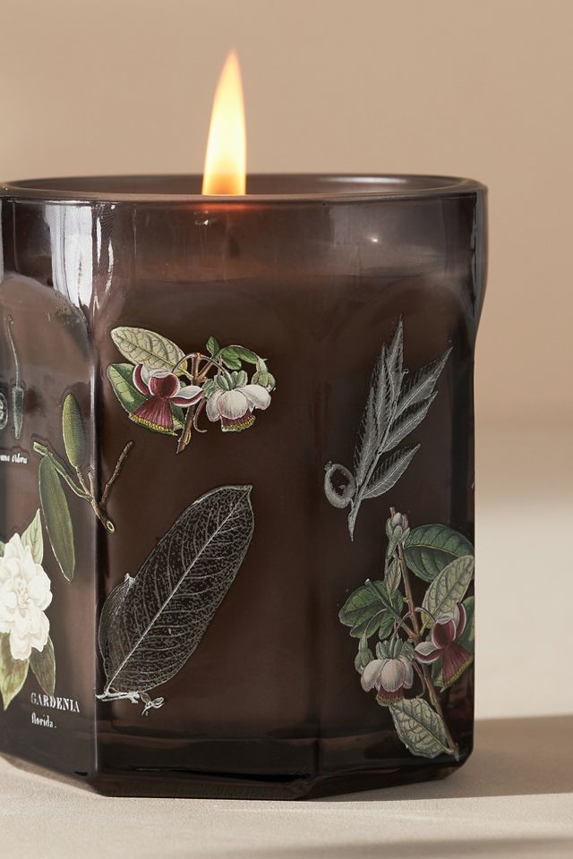 By Anthropologie Floral Night Gardenia Glass Jar Candle