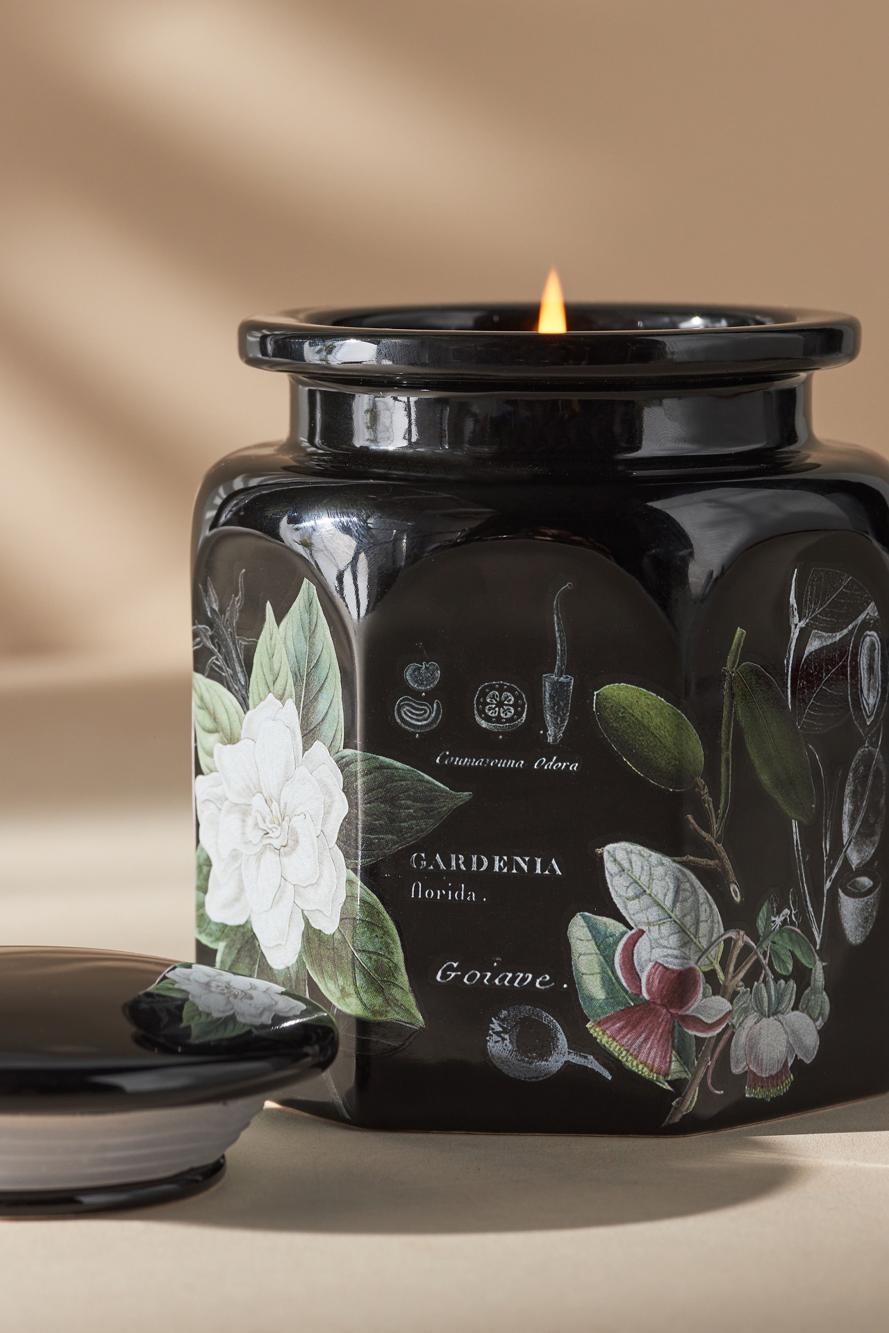 Apothecary 18 Floral Night Gardenia Ceramic Jar Candle