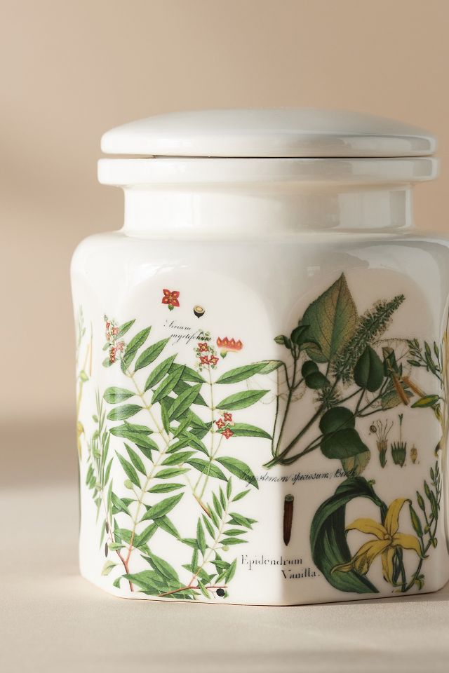 Apothecary 18 Woody Sandalwood Vanilla Ceramic Jar Candle #4