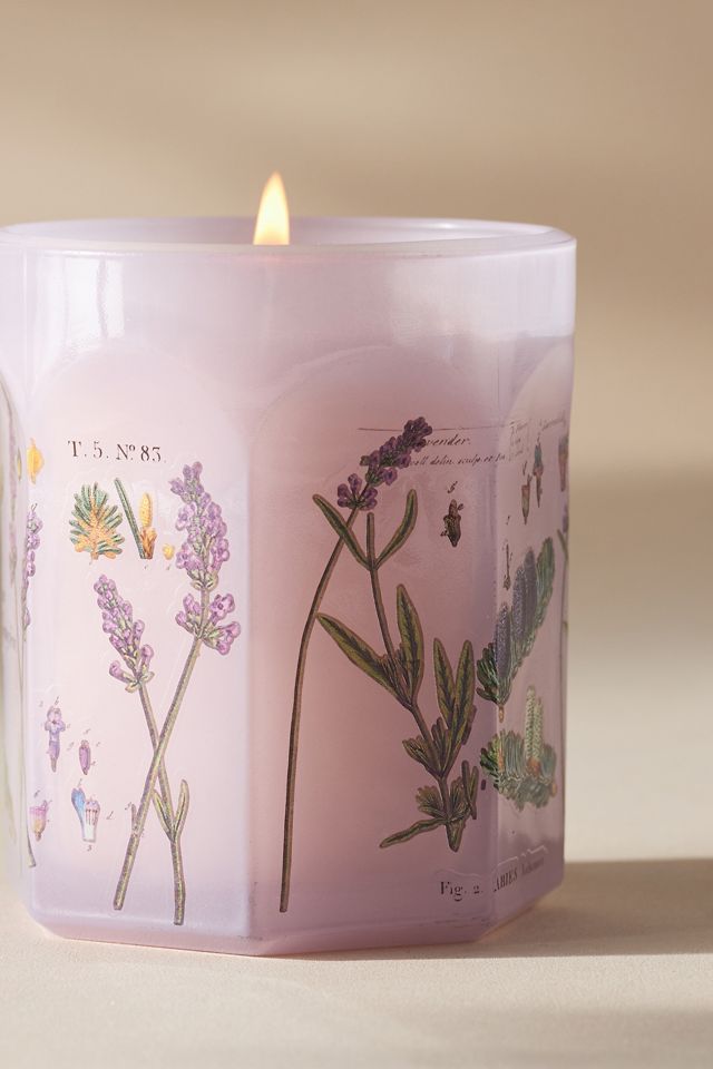 Apothecary 18 Fresh Lavender Balsam Small Glass Candle #5
