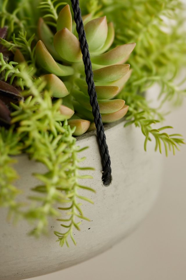 Hanging Fiber Cement Bowl Planter #2