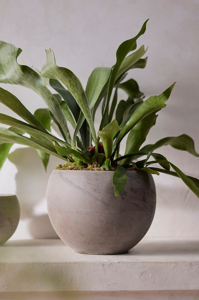 Marbled Ceramic Planter #2