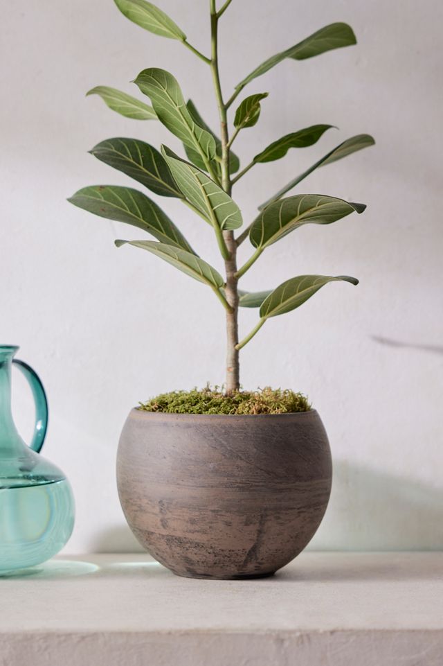 Marbled Ceramic Planter #3