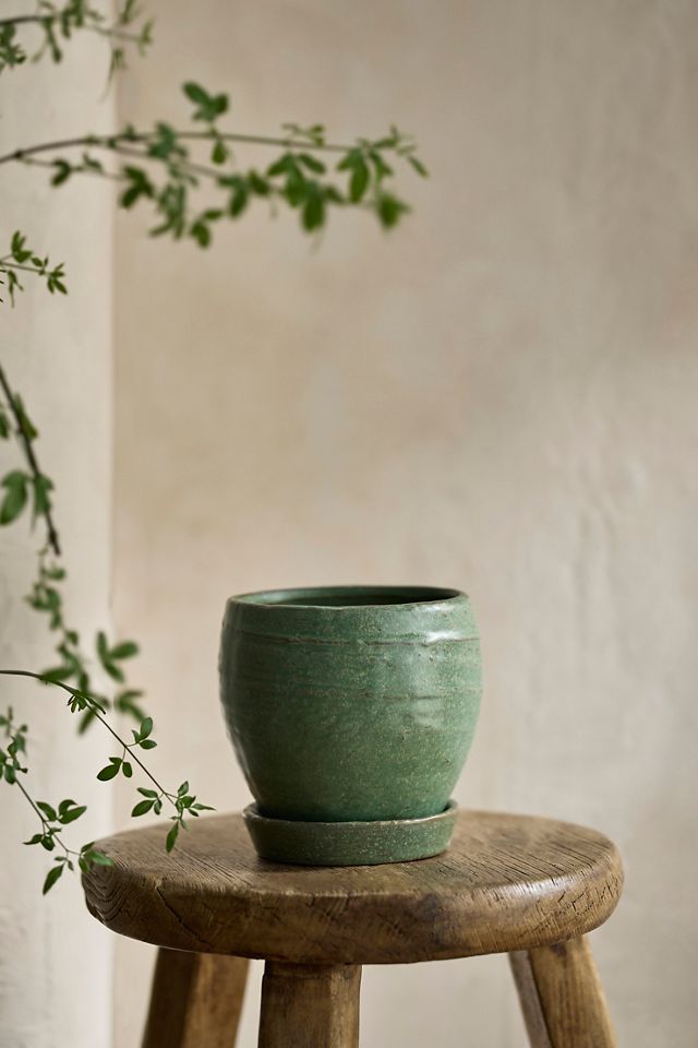 Evergreen Ceramic Pot + Saucer Set #1