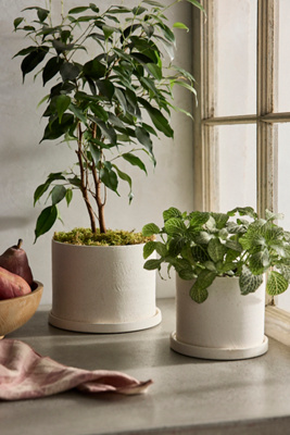 Easton Ceramic Pot + Saucer Set - 5""