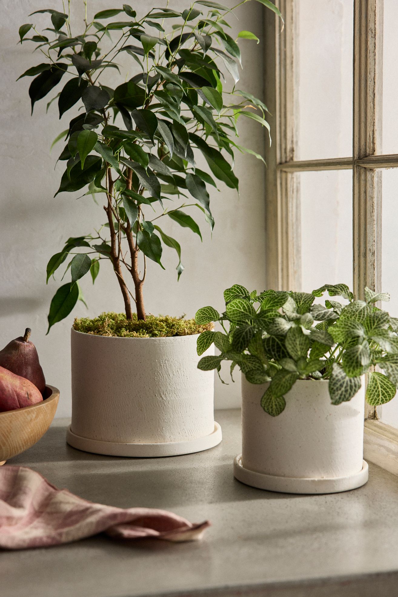 Easton Ceramic Pot + Saucer Set - White, 7"