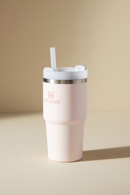 Stanley 20 oz. Quencher Tumbler