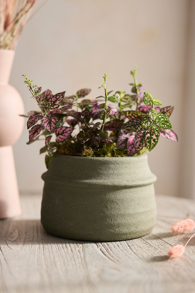 Sand Glaze Ceramic Pot #3