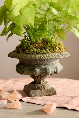 Mini Cast Iron Urn Planter