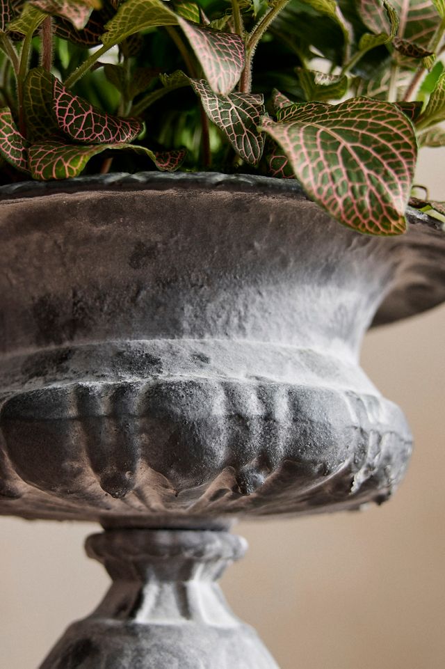 Low Cast Iron Urn Planter #2
